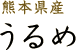 熊本県産 うるめ